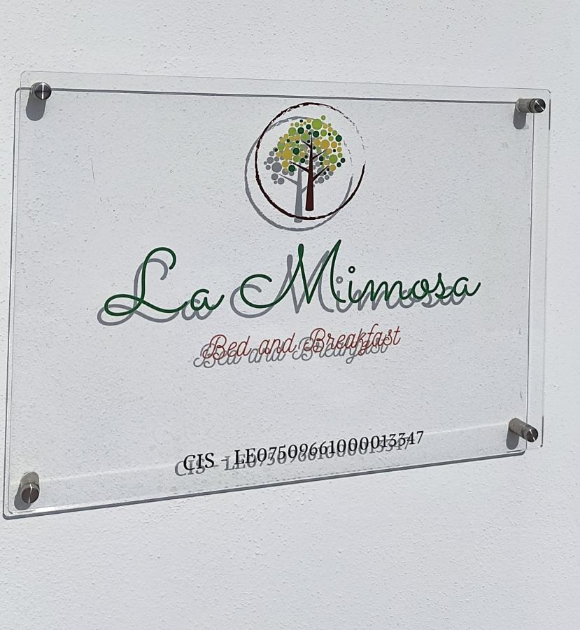 B&B La Mimosa 카스트로 외부 사진